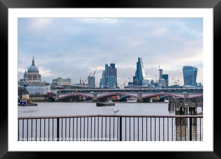 London City View from The Queen's Walk, South Bank Framed Mounted Print by Milton Cogheil