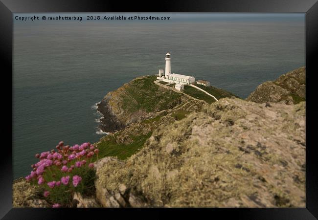 South Stack Lighthouse Framed Print by rawshutterbug 