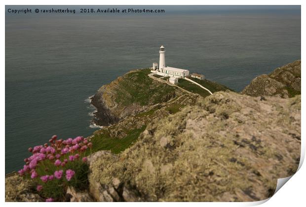 South Stack Lighthouse Print by rawshutterbug 