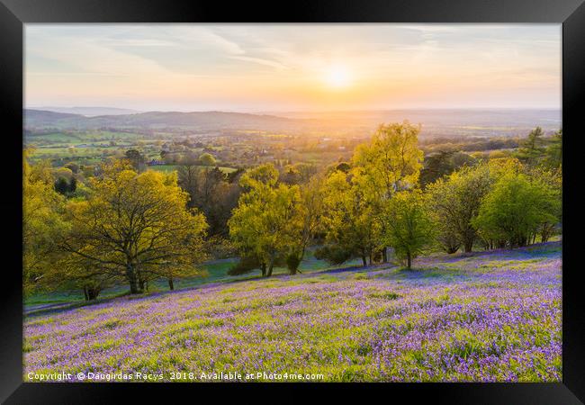 The Bluebell-covered Malvern Spring Sunset Framed Print by Daugirdas Racys