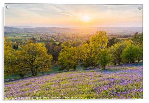 The Bluebell-covered Malvern Spring Sunset Acrylic by Daugirdas Racys