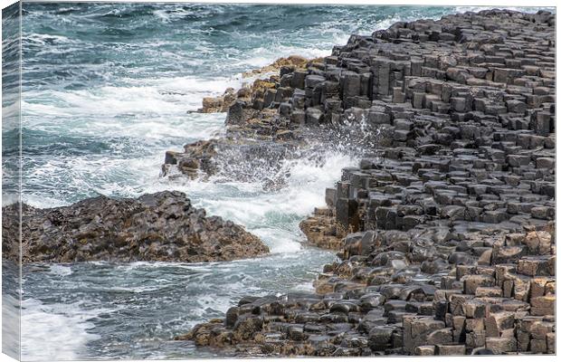 Giant's Causeway Canvas Print by Mary Lane
