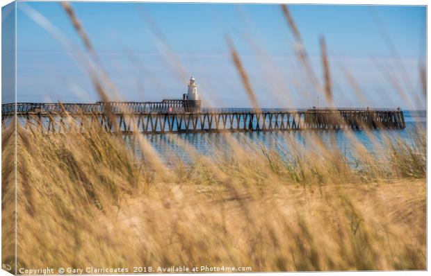 A Grassy View Canvas Print by Gary Clarricoates