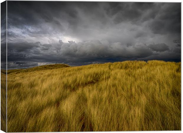 Storm Clouds over the Sand Dunes at Aberffraw Canvas Print by Colin Allen