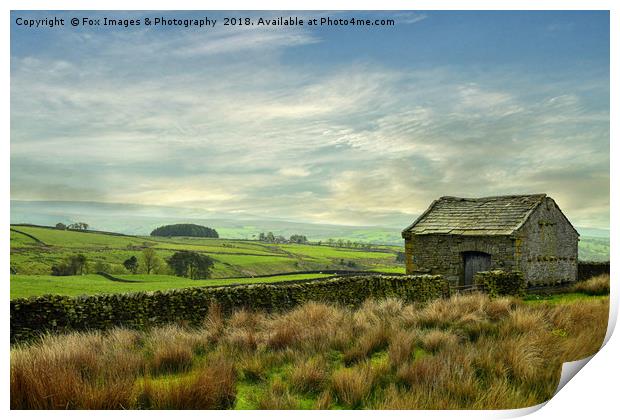 Forest of bowland barn Print by Derrick Fox Lomax