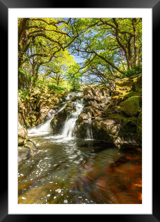 River Avon, Dartmoor Framed Mounted Print by Images of Devon
