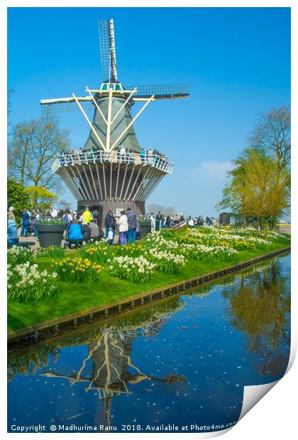 Windmills at Keukenhof Gardens, Netherlands Print by Madhurima Ranu