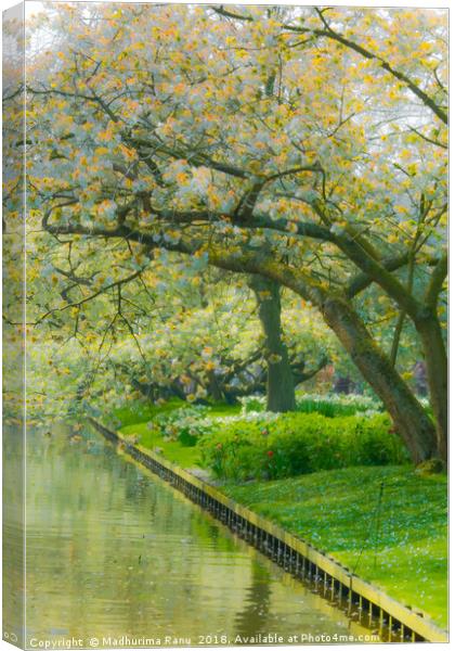 A quiet corner in Keukenhof Garden Canvas Print by Madhurima Ranu