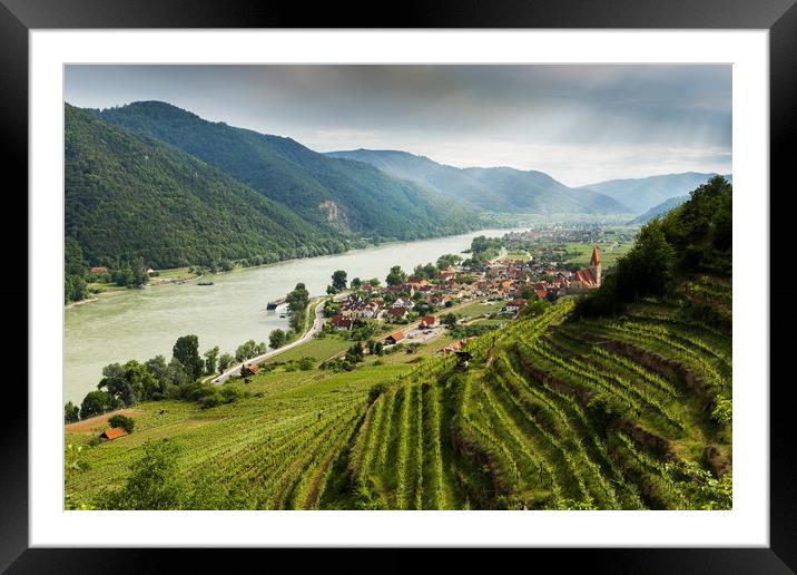 Wachau valley with the Danube river and vineyards. Framed Mounted Print by Sergey Fedoskin
