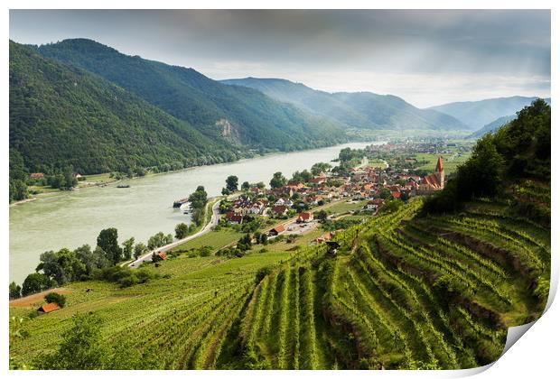 Wachau valley with the Danube river and vineyards. Print by Sergey Fedoskin