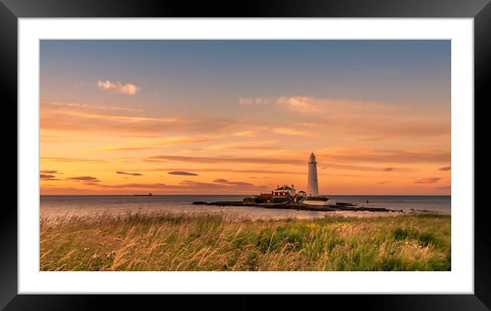 What a Beauty........ Framed Mounted Print by Naylor's Photography