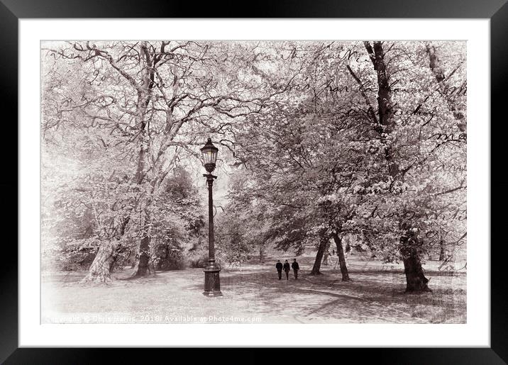A walk in the park Framed Mounted Print by Chris Harris