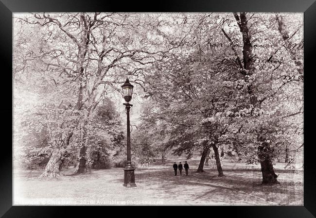 A walk in the park Framed Print by Chris Harris
