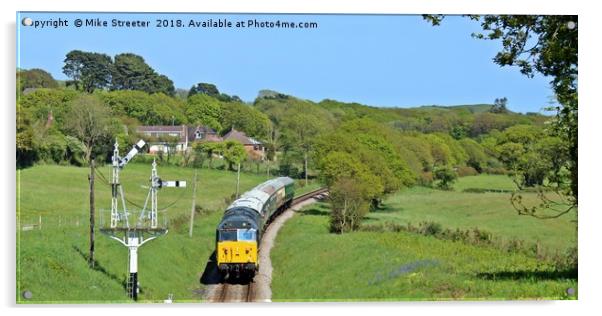 Diesel on the Swanage Railway Acrylic by Mike Streeter