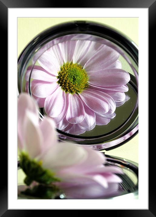 Pink Framed Mounted Print by Doug McRae