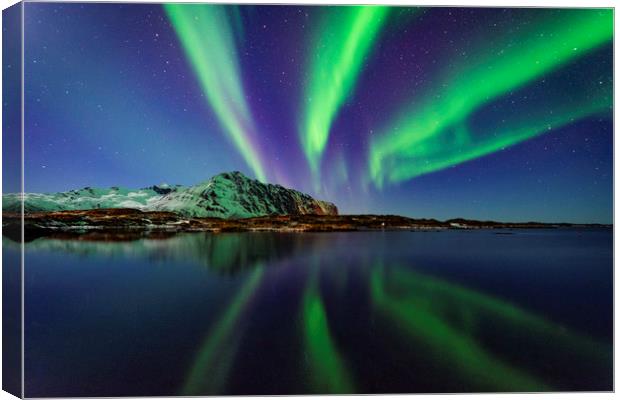 Northern lights in Lofoten Canvas Print by Lukasz Lukomski