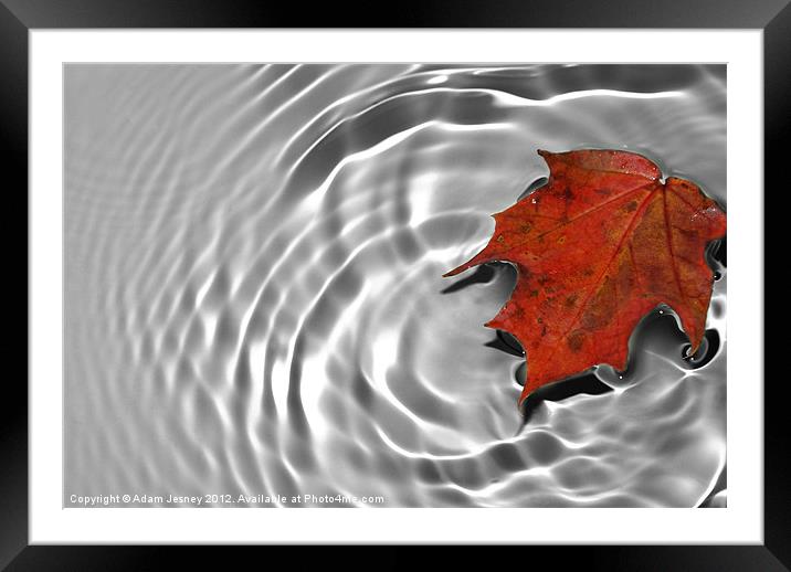 Leaf Ripple Framed Mounted Print by Adam Jesney