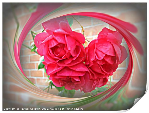 Summer Roses Print by Heather Goodwin