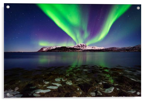 Northern lights in Lofoten Acrylic by Lukasz Lukomski