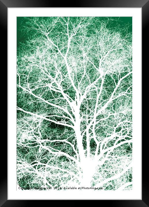 White tree silhouette Framed Mounted Print by steve ball