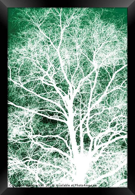 White tree silhouette Framed Print by steve ball