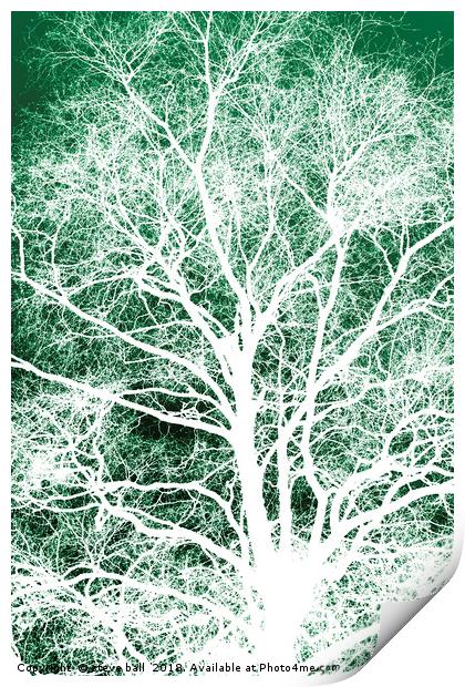 White tree silhouette Print by steve ball
