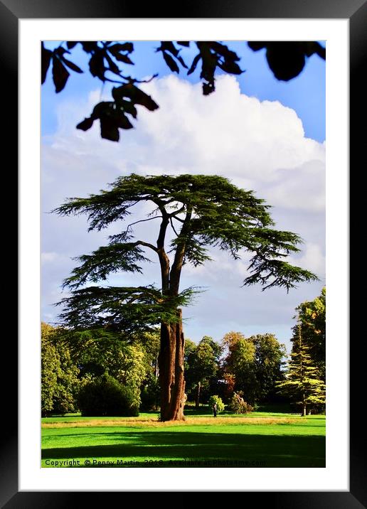 Lydiard Park, Swindon, Wiltshire Framed Mounted Print by Penny Martin
