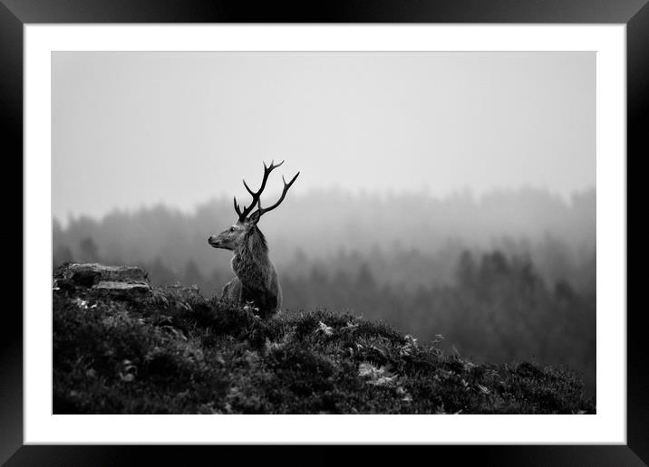 Above the Mist Framed Mounted Print by Macrae Images