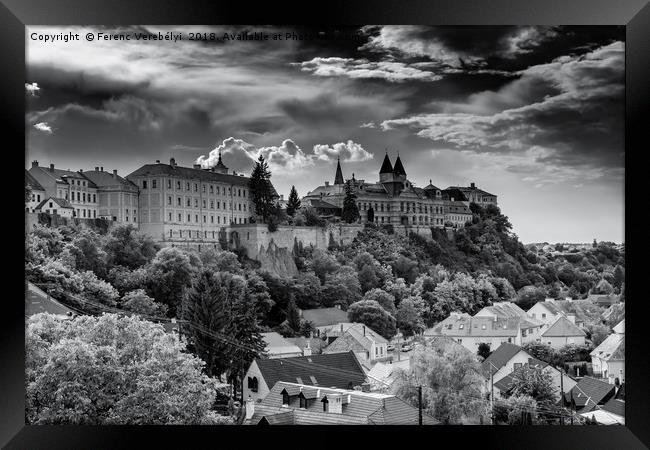 black white Veszprém    Framed Print by Ferenc Verebélyi