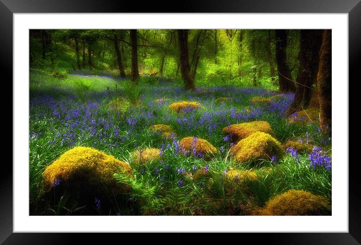 Woodland British Bluebells Framed Mounted Print by Leighton Collins