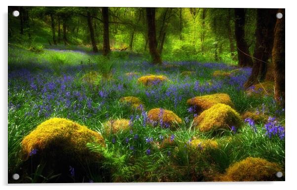 Woodland British Bluebells Acrylic by Leighton Collins