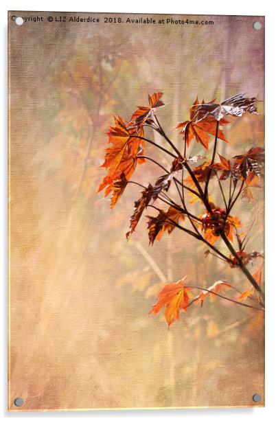 Maple Leaves Acrylic by LIZ Alderdice
