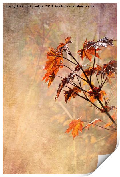 Maple Leaves Print by LIZ Alderdice