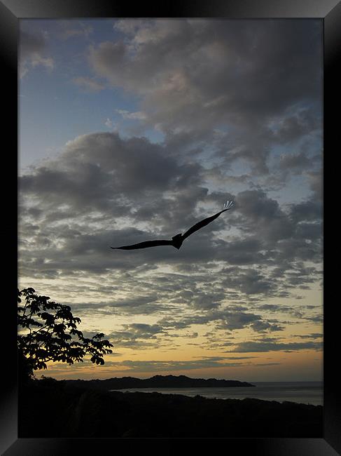 Start a Day Framed Print by james balzano, jr.