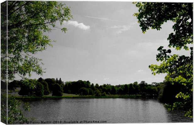 A lake near Buscot, Oxfordshire Canvas Print by Penny Martin