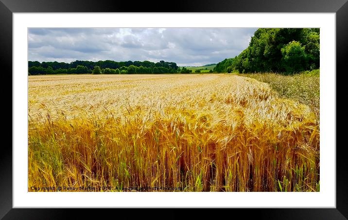 Field of Gold Wheat Framed Mounted Print by Penny Martin