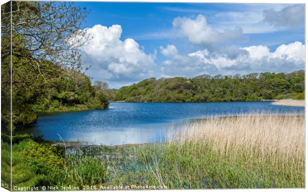 Bosherston Lily Ponds Pembrokeshire in Spring Canvas Print by Nick Jenkins