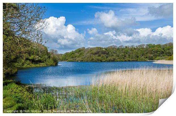 Bosherston Lily Ponds Pembrokeshire in Spring Print by Nick Jenkins