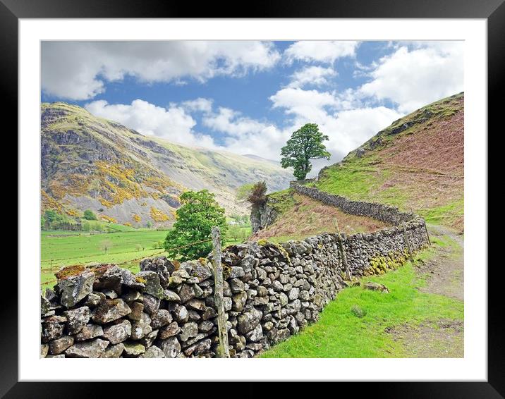    St. Johns in the Vale walk                      Framed Mounted Print by Anthony Kellaway