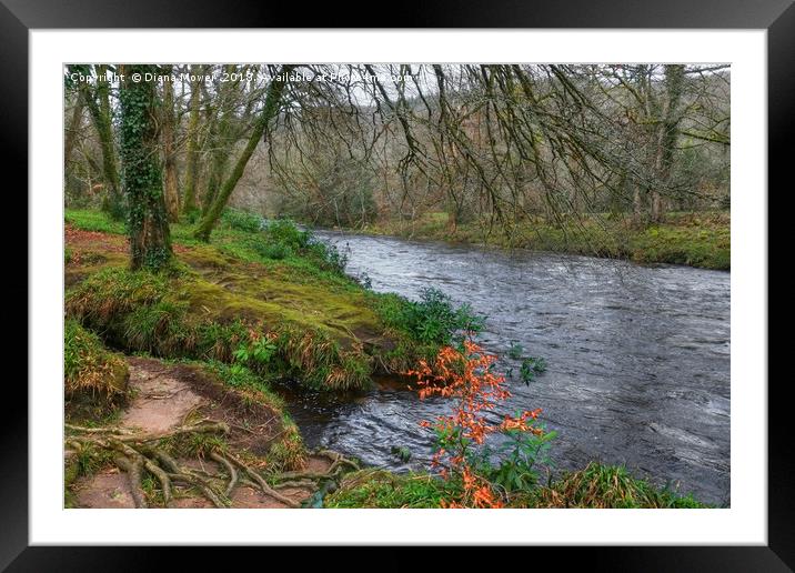 On the banks of the River Dart Framed Mounted Print by Diana Mower