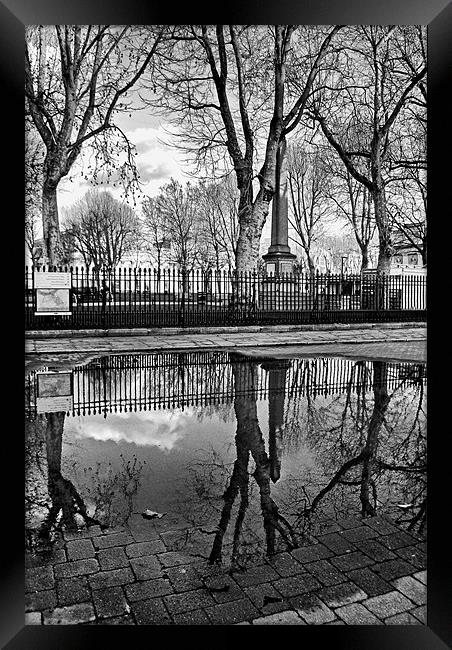 Reflections in a Puddle Framed Print by Karen Martin