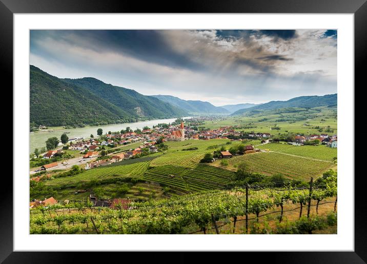 Wachau valley with Danube river and vineyards. Framed Mounted Print by Sergey Fedoskin