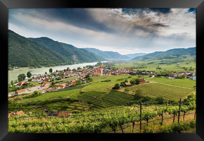 Wachau valley with Danube river and vineyards. Framed Print by Sergey Fedoskin