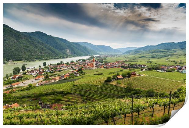 Wachau valley with Danube river and vineyards. Print by Sergey Fedoskin