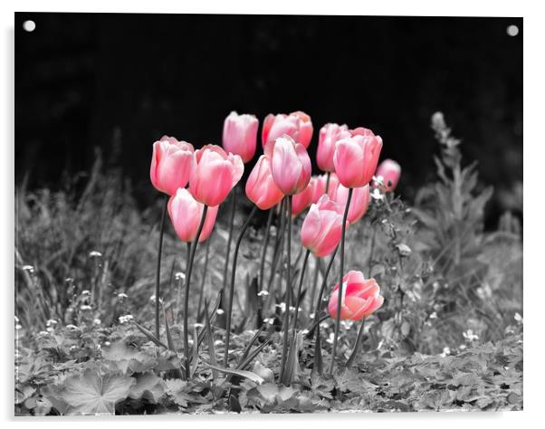 Tulips standing out Acrylic by Gary Pearson