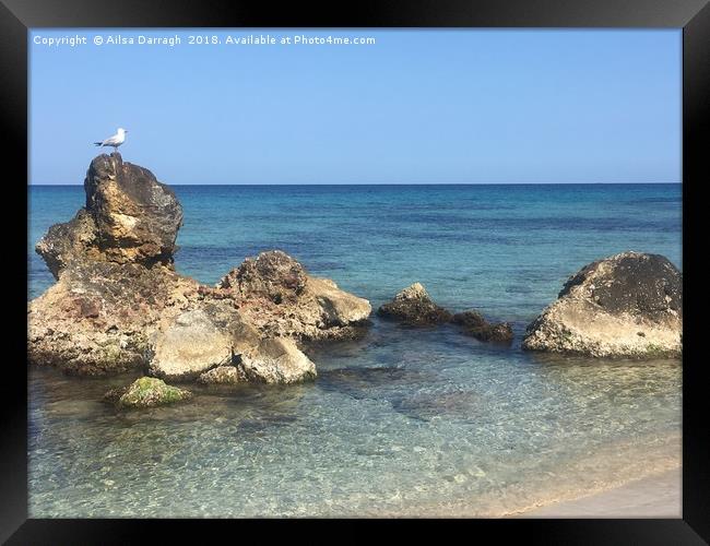 Seagull on Rocks, Cala Nova, Es Cana, Ibiza Framed Print by Ailsa Darragh
