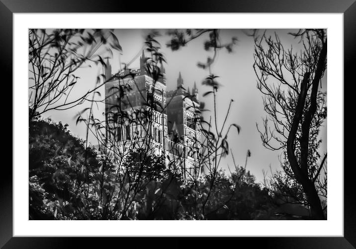 Beautifully Haunting in Mono.......... Framed Mounted Print by Naylor's Photography