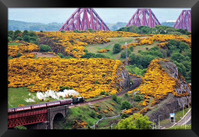 The Flying Scotsman, Forth Bridge bound Framed Print by Gary McMeekin