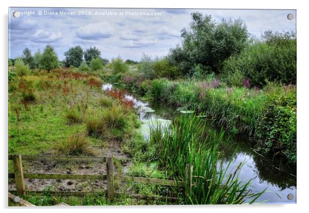 Ingrebourne River Essex Acrylic by Diana Mower