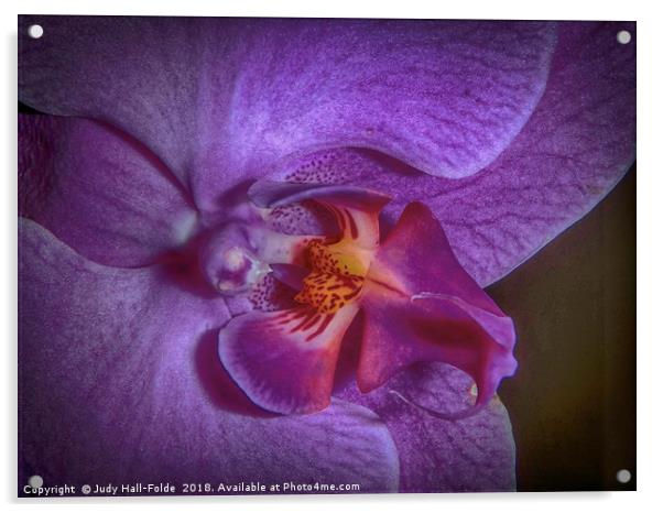 Deep Purple Orchid Acrylic by Judy Hall-Folde
